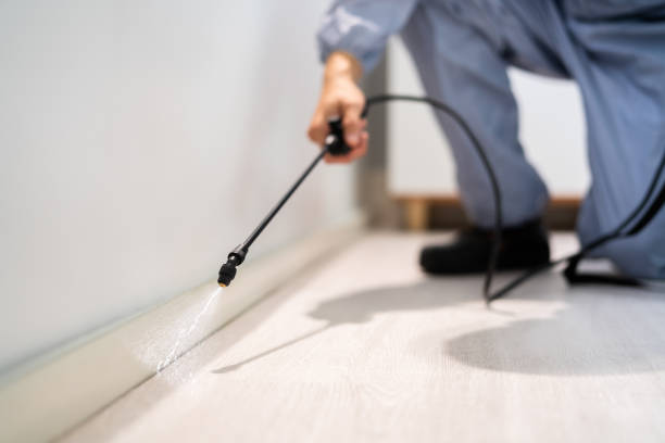 Certified termite inspector examining foundation in Ellinwood